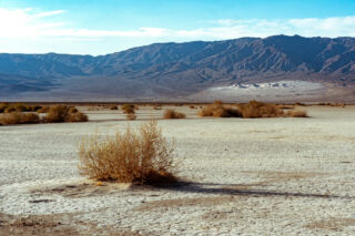 Aranyba borult a sivatag: olyat láthatunk a Halál-völgyben, amire csak évtizedenként van példa